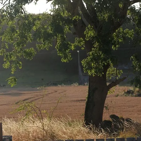 The Curragh Bed and breakfast Newbridge (Kildare)