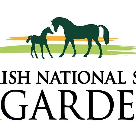 The Curragh Bed & Breakfast