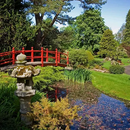 The Curragh Newbridge (Kildare)