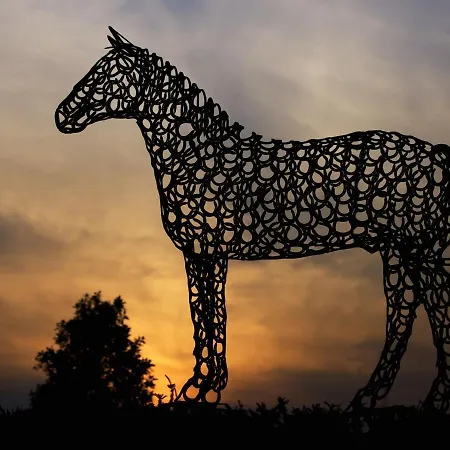 The Curragh Couette-café Newbridge (Kildare)