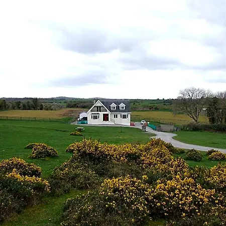 The Curragh