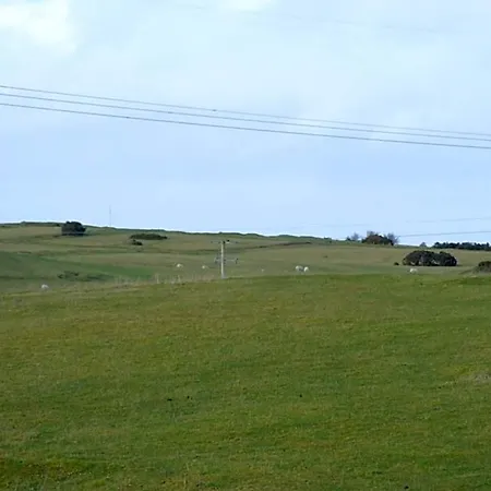 The Curragh Bed and breakfast 3*
