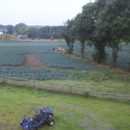 The Curragh 3* Ньюбридж