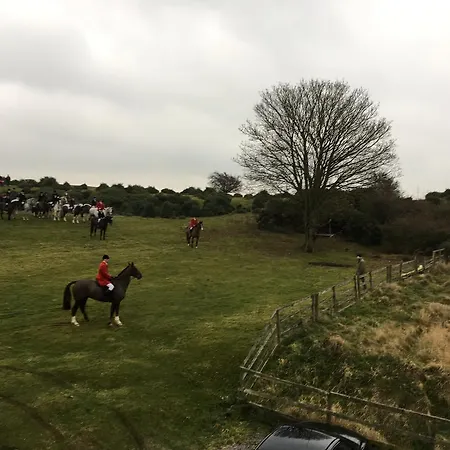 The Curragh Bed and breakfast