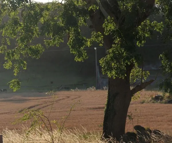 The Curragh Couette-café Newbridge (Kildare)