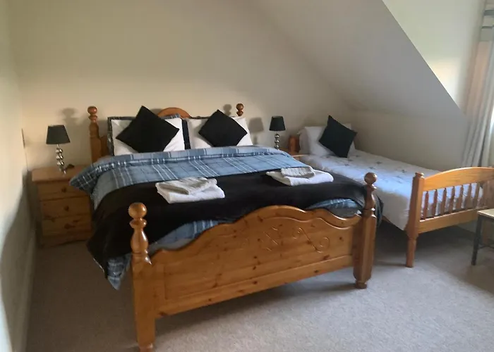 The Curragh Newbridge (Kildare)