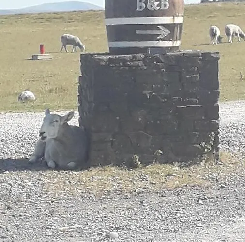 Couette-café The Curragh Newbridge (Kildare)