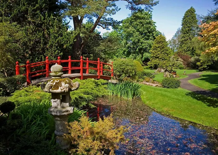 The Curragh Newbridge (Kildare)