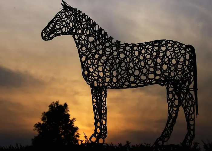 The Curragh Couette-café Newbridge (Kildare)