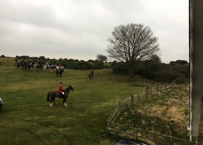 The Curragh Couette-café